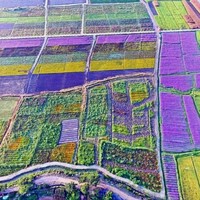 杨运超