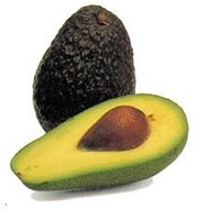 José Gabriel Palta Campos