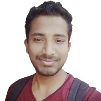 PARTHA BISWAS