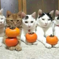 Juan Carlos Silverio Gomez