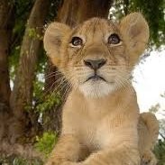 Daniel Martinez Blanco