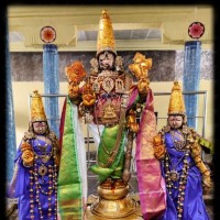 Rajan V