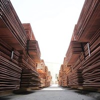 Miguel Vergara Palominos