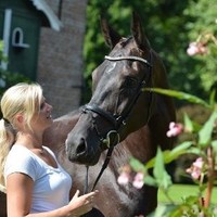 M Van Der Landen