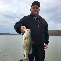 Randy Hogue