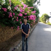 Dinesh Kumar Meena