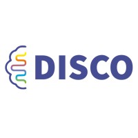 DISCO LVIV