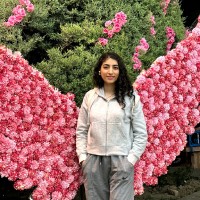 Malihe Karimi