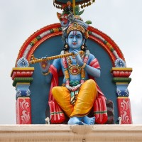 Manoj Yadav