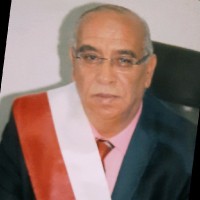 Habib Koubaa