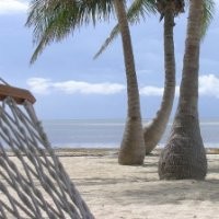 Myrtle Beach Seo