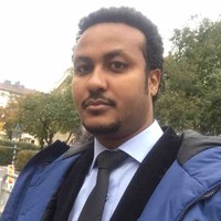 Mesay Tewodros Melesse