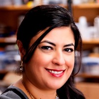 Marie Rizkalla