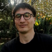 Nicolás Silva