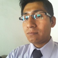Wily Huarcaya Aguilar