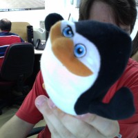 Fabricio Landi de Moraes