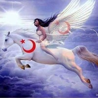 Suzan İsaaa