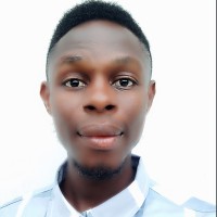 Ugochukwu Obenwa