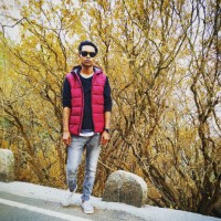 Bikash Jena