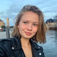 Merit Bau