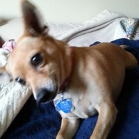 De Ana Sweeney