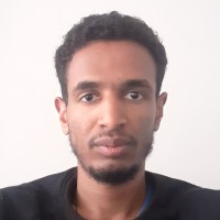 Leul Mesfin