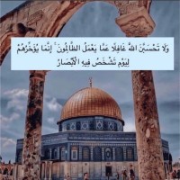 Noura Ismail