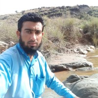 Faisal javed khan