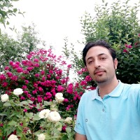 Morteza Jafari