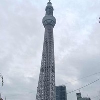 艾飞龙