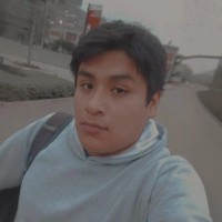 Luis David Bruno Chuquipoma