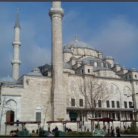 amr Mustafa