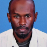 Mohammad Hassaballa