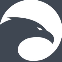 Falcon Eye Security