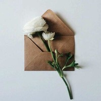 Amira Lotfy