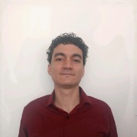 Pedro Henrique Barbosa Vieira