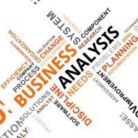 Center of Excellence for Professional Development BUsiness analyst Training