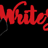 Write Step Resumes