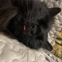 易博杨