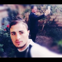 Amine Louni