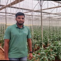 Anjinappa H