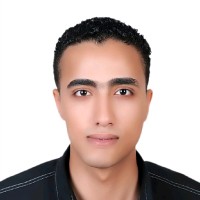 محمد احمد الطيب