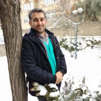 seyyed Mohammad Ali Hosseini