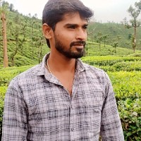 Prathap P