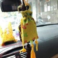 杨海福