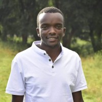 Innocent Gicheru Wambui