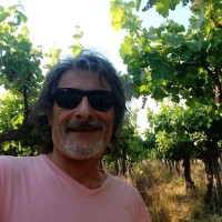 Alfredo Estevez