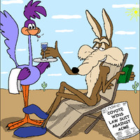 Road Runner