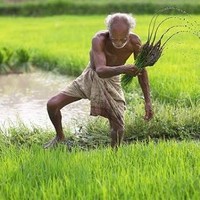 Saravanan.s saravanan.s