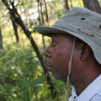 Almeida Sitoe